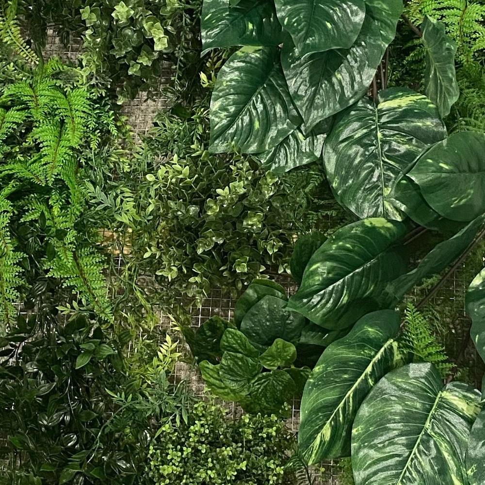 Meet your Posher, Neem